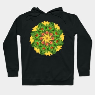 tropic parrots mandala Hoodie